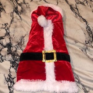 Santa Claus Costume for kittens or small cats